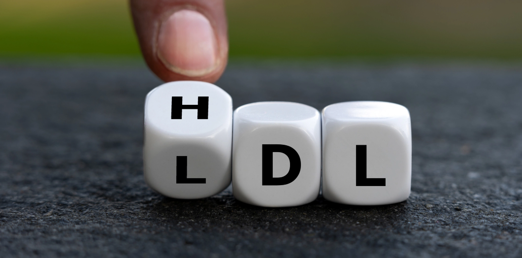 HDL oder LDL: „gutes“ oder „böses“ Cholesterin